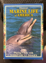 Load image into Gallery viewer, Playing Cards