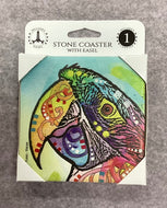Coaster Macaw