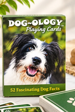 Load image into Gallery viewer, Playing Cards